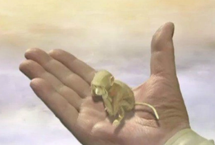 1567311688409806.png image.png