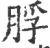 脬(宋·印刷字体·广韵)