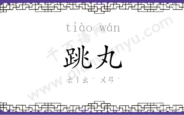 跳丸