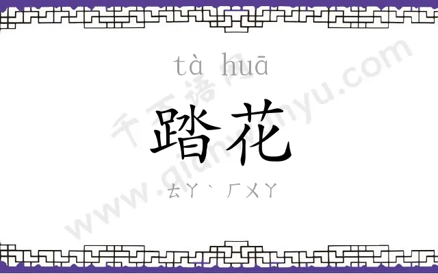 踏花