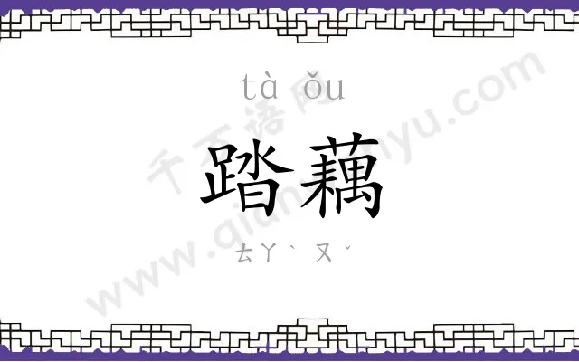 踏藕