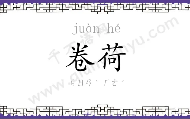 卷荷