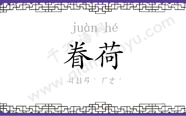 眷荷