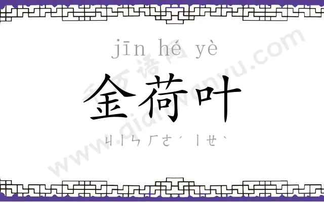 金荷叶