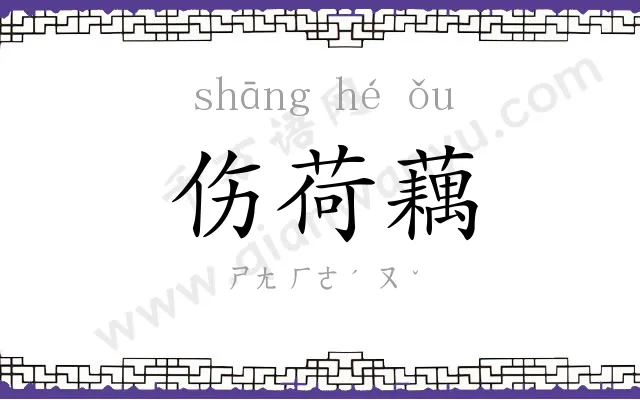 伤荷藕
