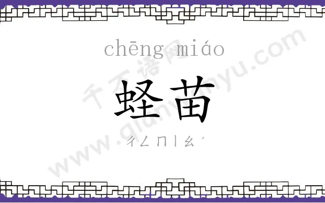 蛏苗