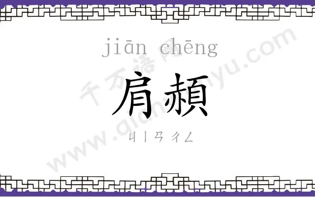 肩頳