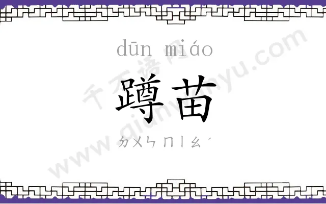 蹲苗