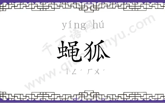 蝇狐