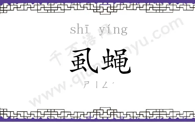 虱蝇