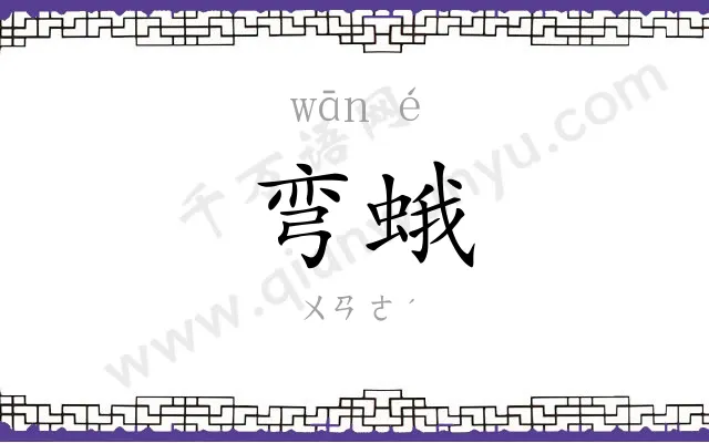 弯蛾
