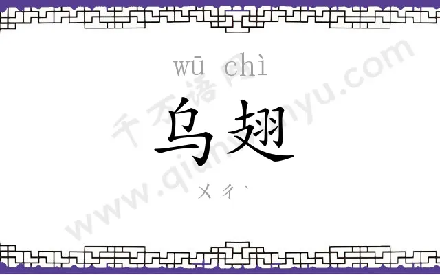 乌翅