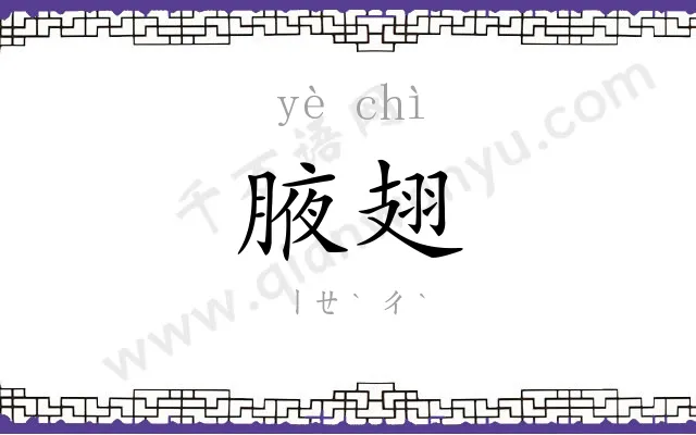 腋翅