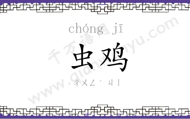 虫鸡