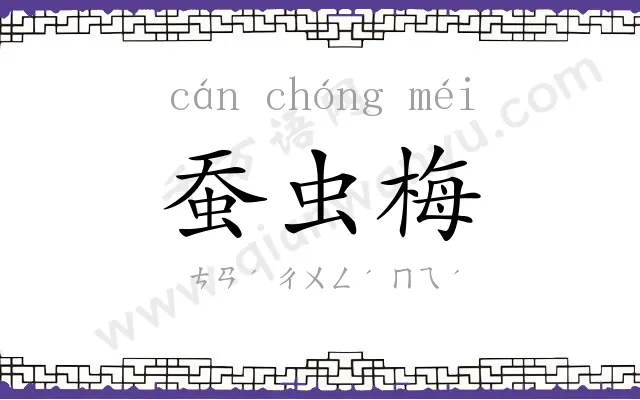 蚕虫梅