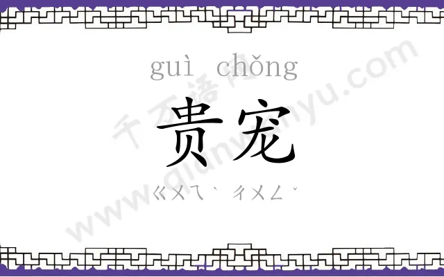 贵宠