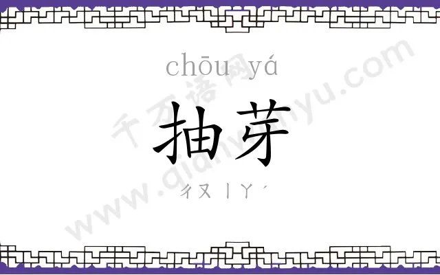 抽芽