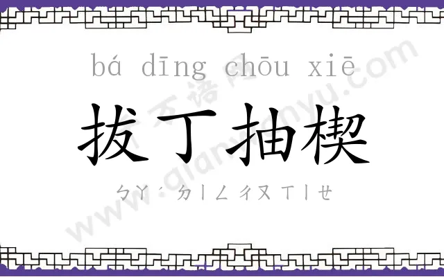 拔丁抽楔