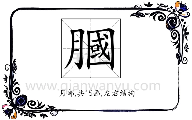 膕