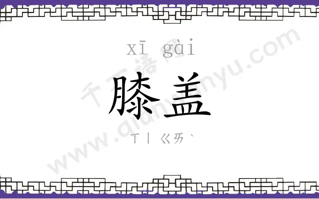 膝盖