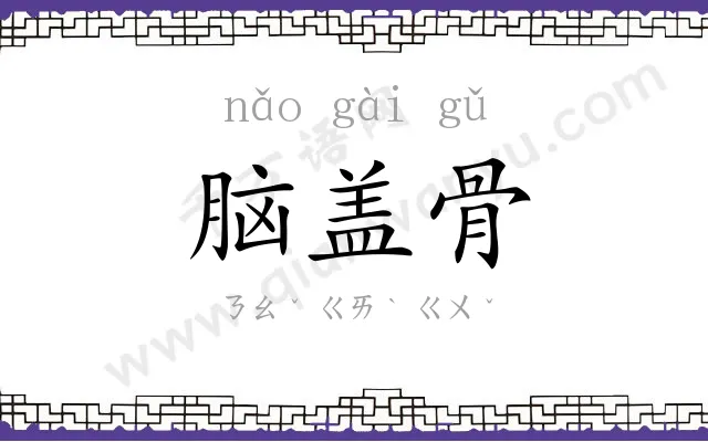 脑盖骨