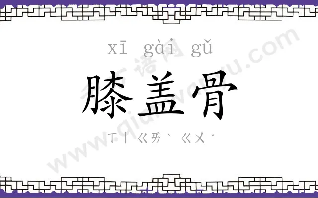膝盖骨