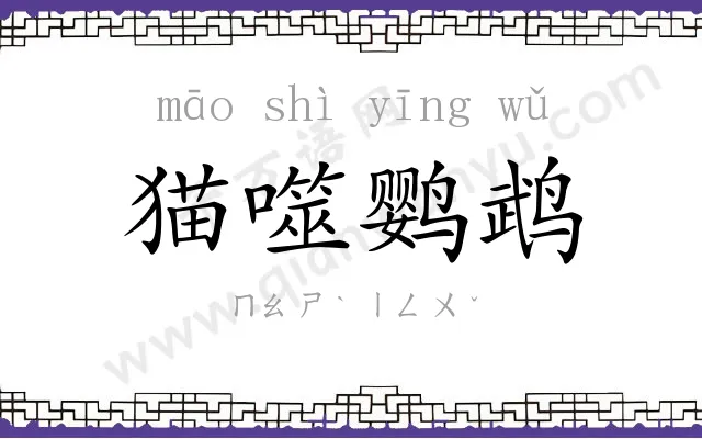 猫噬鹦鹉