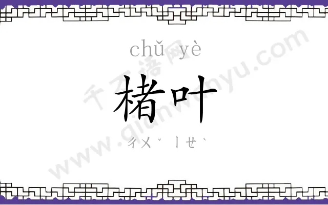 楮叶