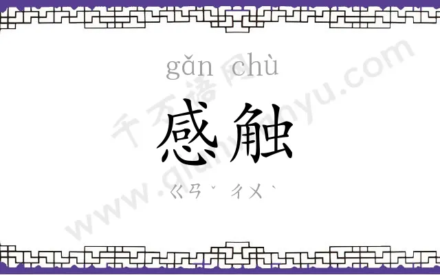 感触