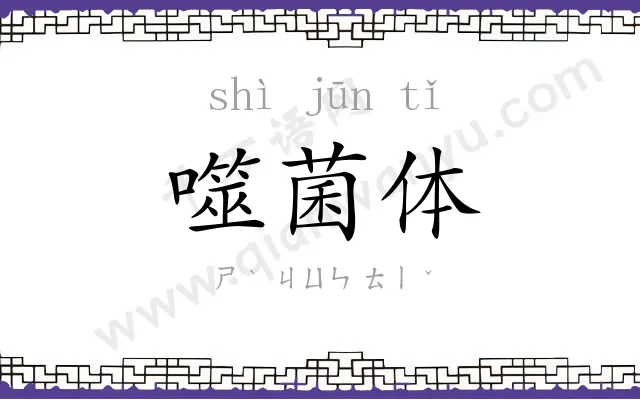 噬菌体