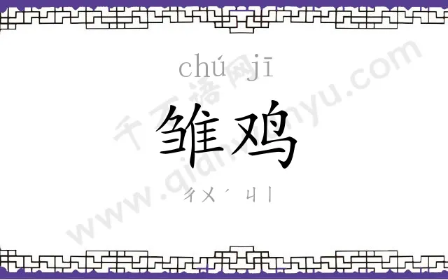 雏鸡