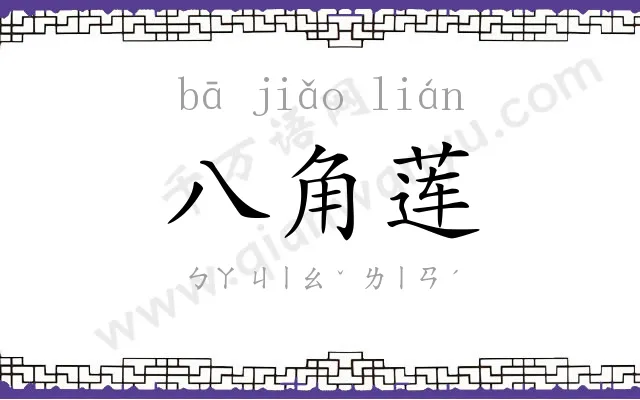 八角莲