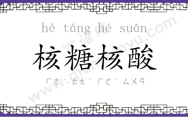 核糖核酸