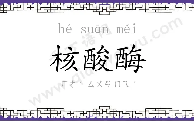 核酸酶