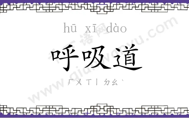 呼吸道