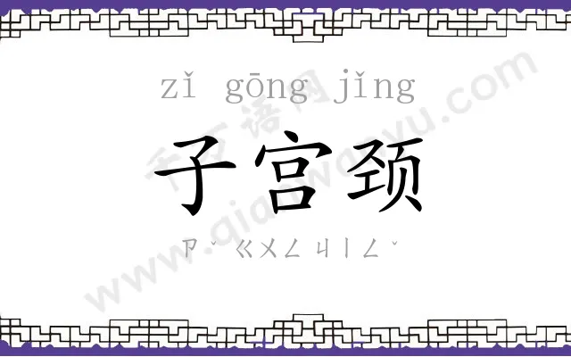 子宫颈