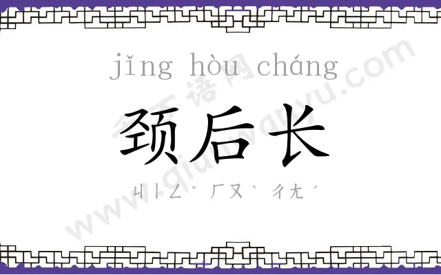 颈后长