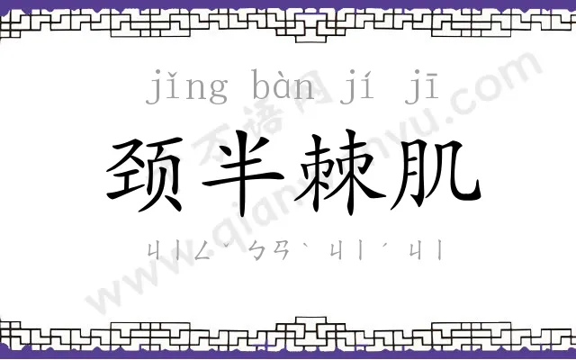 颈半棘肌