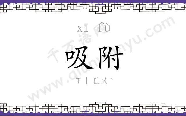 吸附
