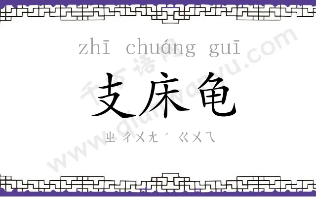 支床龟