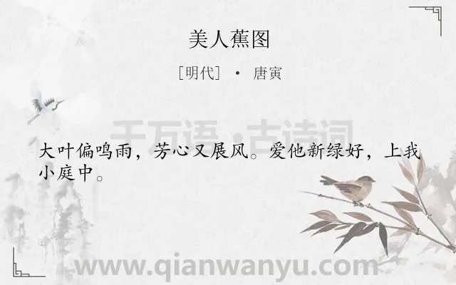 《美人蕉图》作者是明代的唐寅.诗词全文约共24字.