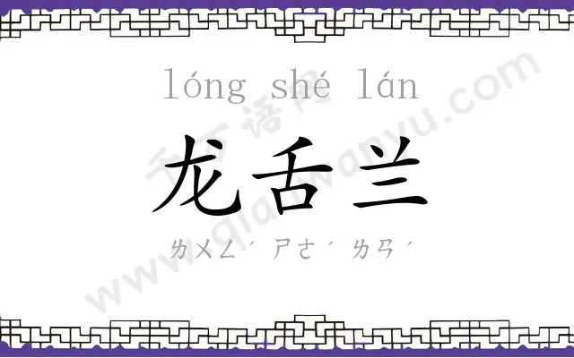 龙舌兰