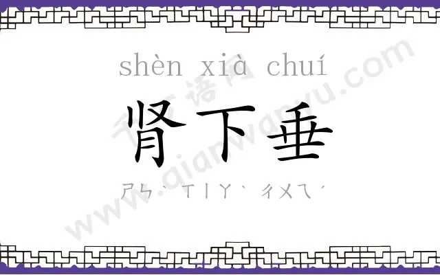 肾下垂