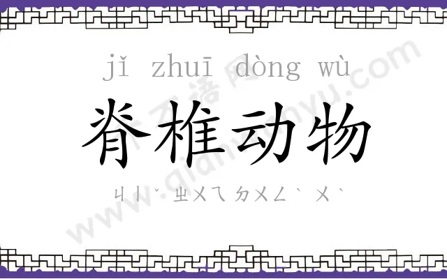 脊椎动物