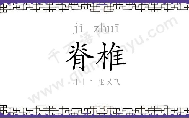 脊椎