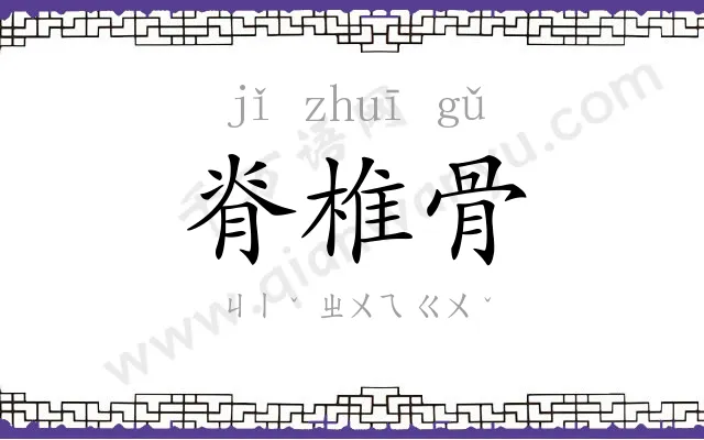 脊椎骨