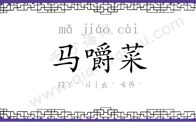 马嚼菜