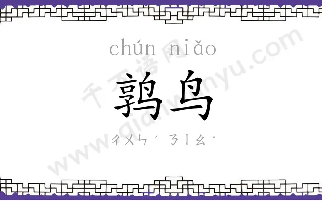 鹑鸟