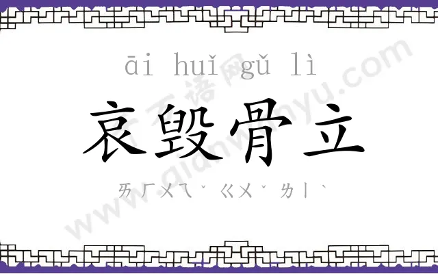 哀毁骨立