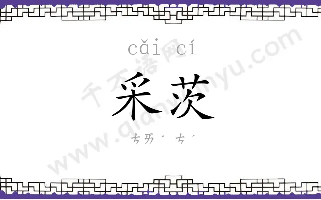 采茨